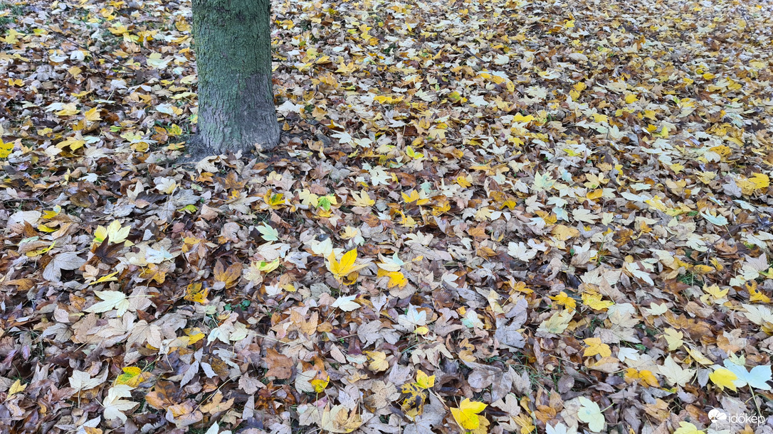 Mosonmagyaróvár