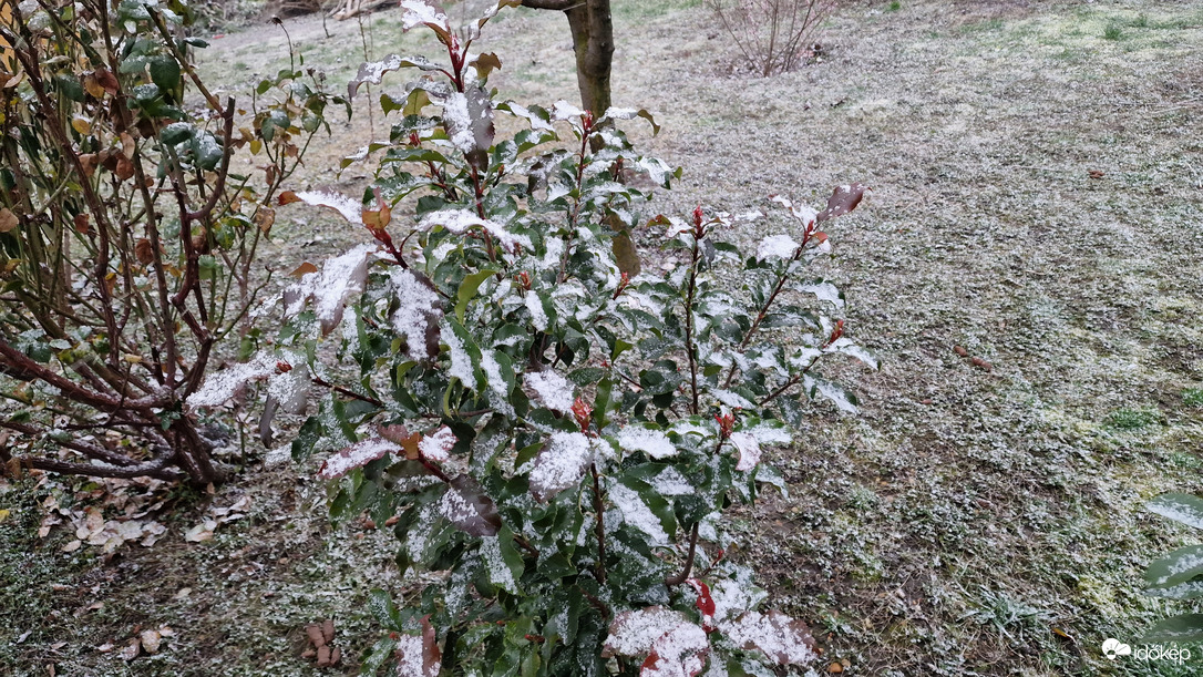 Mosonszolnok