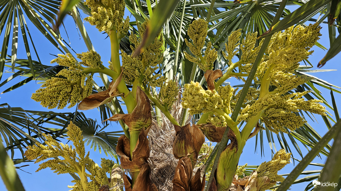 Mosonszolnok