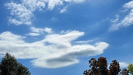 Altocumulus lenticularis