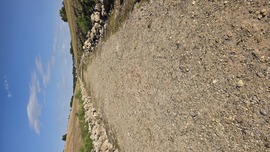 Mosonmagyaróvár