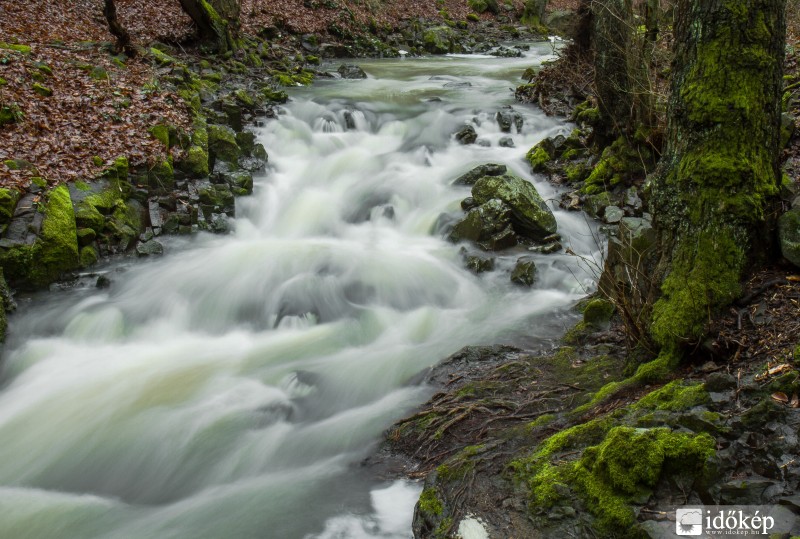 Bükkös-patak  (Pilis)