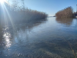 Balatongyörök