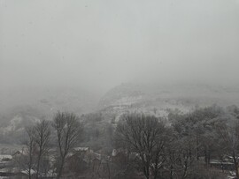 Pecinișca