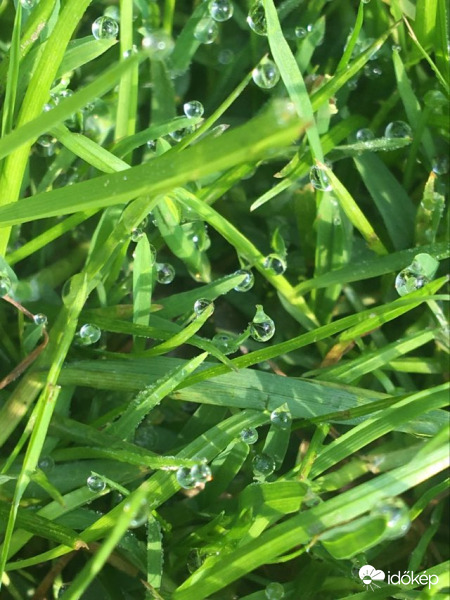 Eső után (köpönyeg)