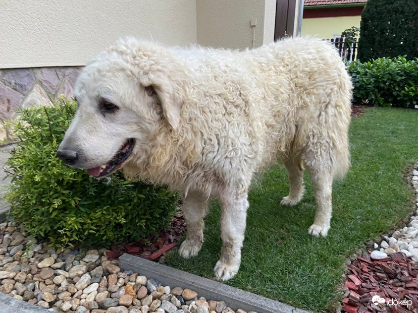 Elmúlt a kánikula, megkönnyebbült