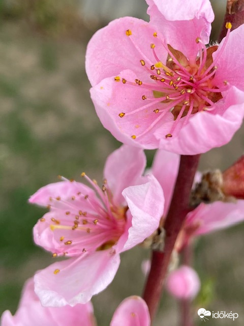 Borult is időben is derűsen