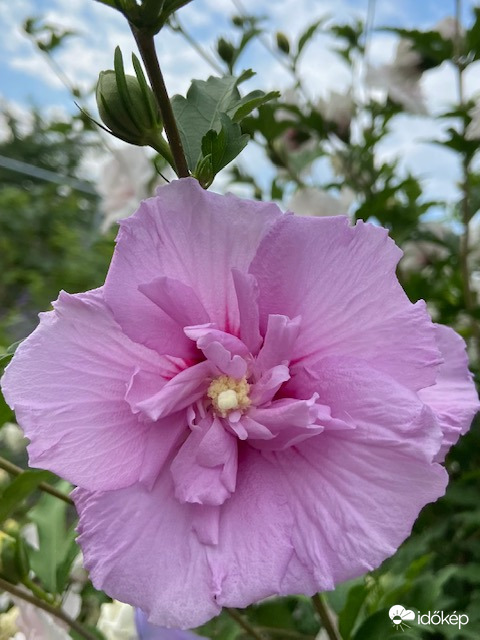 Közepesen felhős háttérrel
