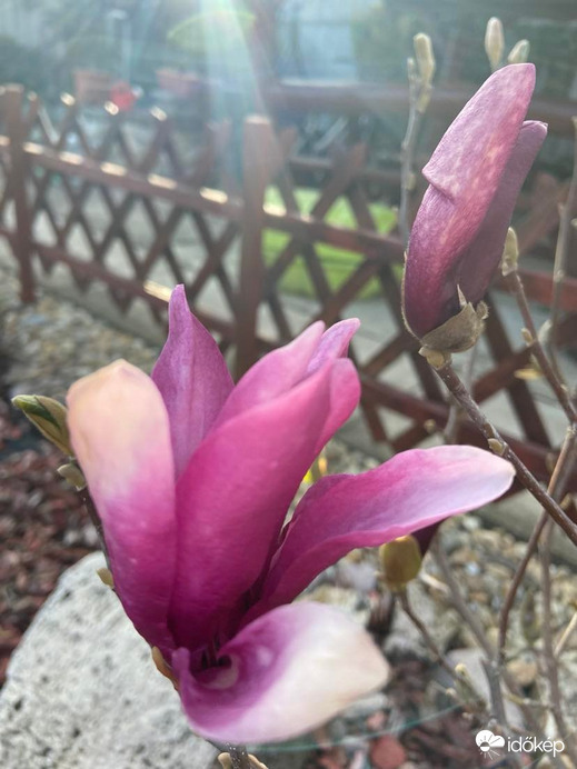 Megtépázottan a fénysugár érintésében