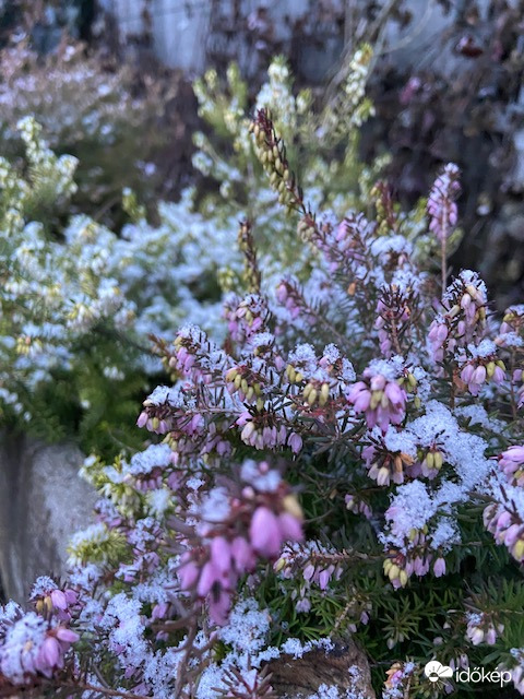 Holle anyó újra megrázta a dunyháját