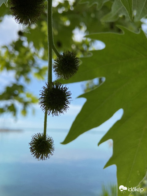 Új nézőpont a  Balatonra