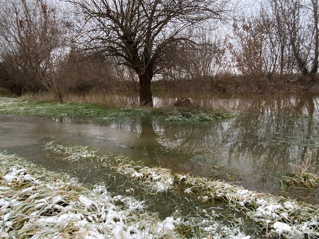 A Zagyva kilépett a medréből
