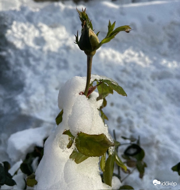 Meleg hószoknyában