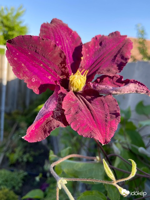 Májusi kánikulában