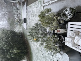 Sopron