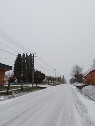 Segesd