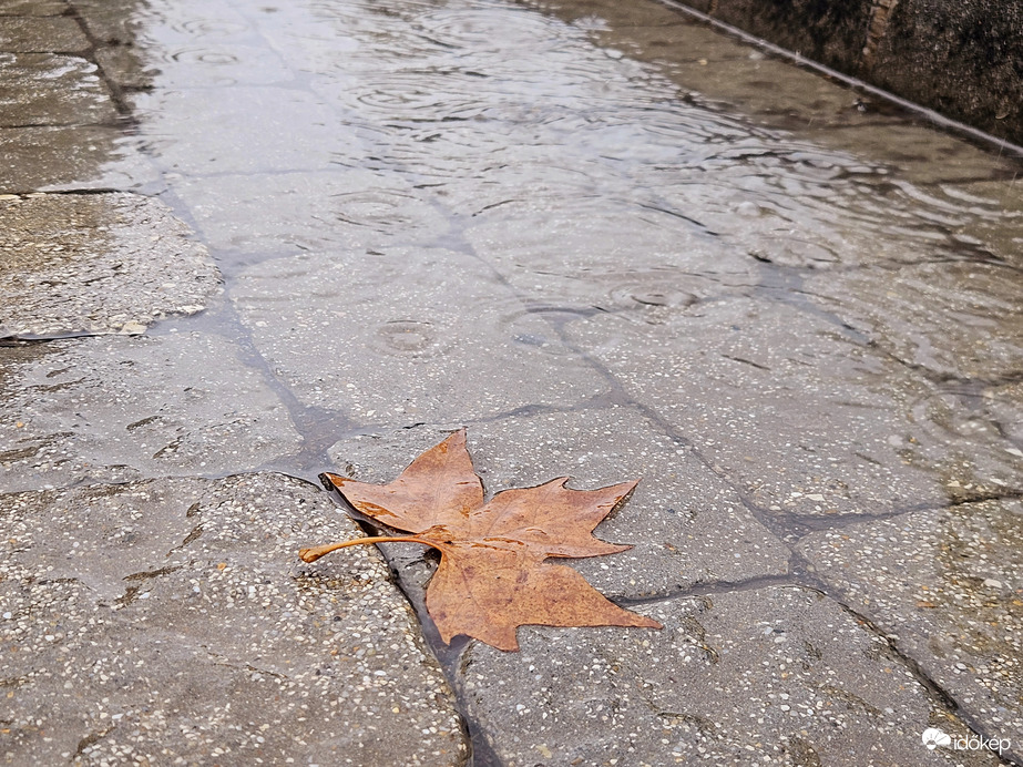 Őszi esős idő
