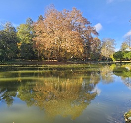Peresznyei kastélypark tava