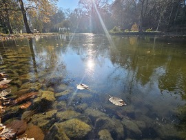 Tavaink kezdenek befagyni