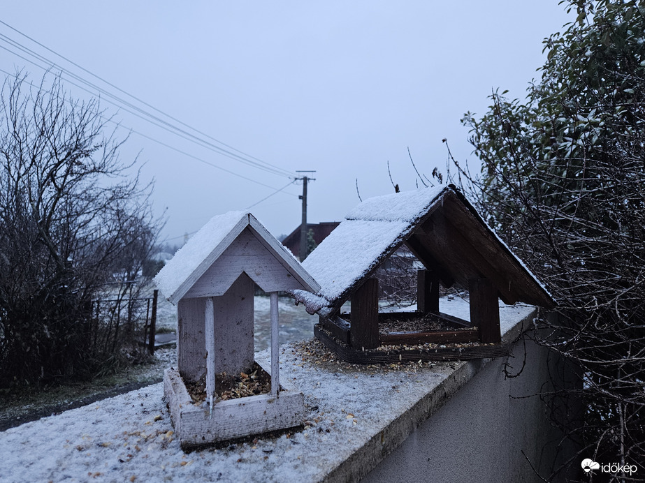 Madáretetés Kőszeg