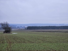 Alpokalján nincs hideg, de szürkes páras, kicsit szeles