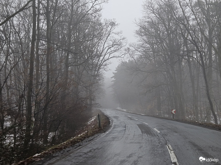 Erdei út szomorú, esős napon