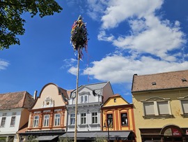 Kőszeg- májusfa