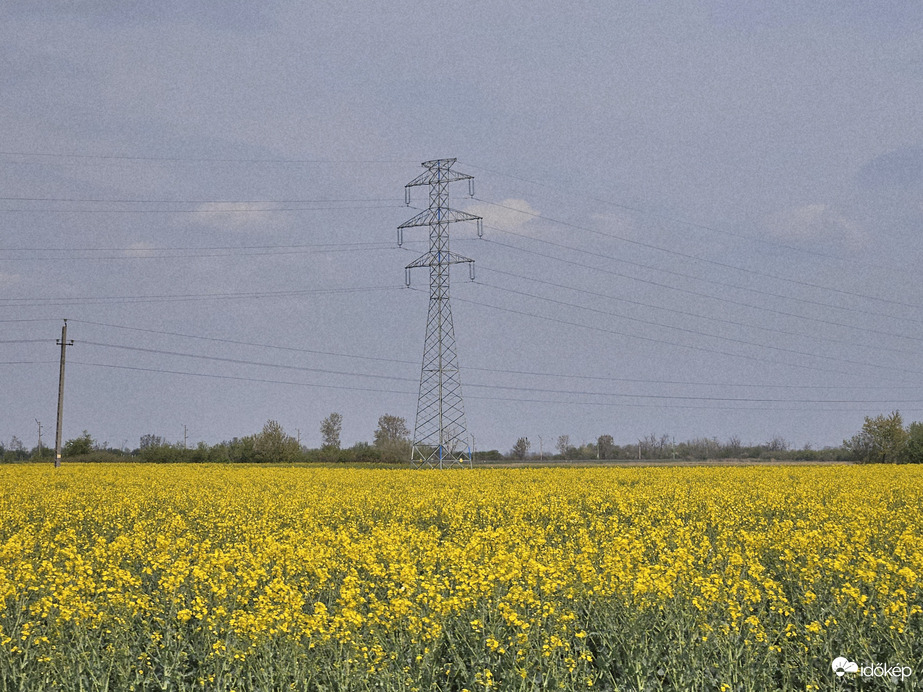 3, 2, 1 repcevirágzás indul