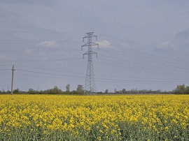 3, 2, 1 repcevirágzás indul