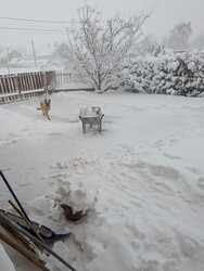 Köszeg Fő tér intenziv havazással3