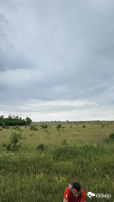 Szőc