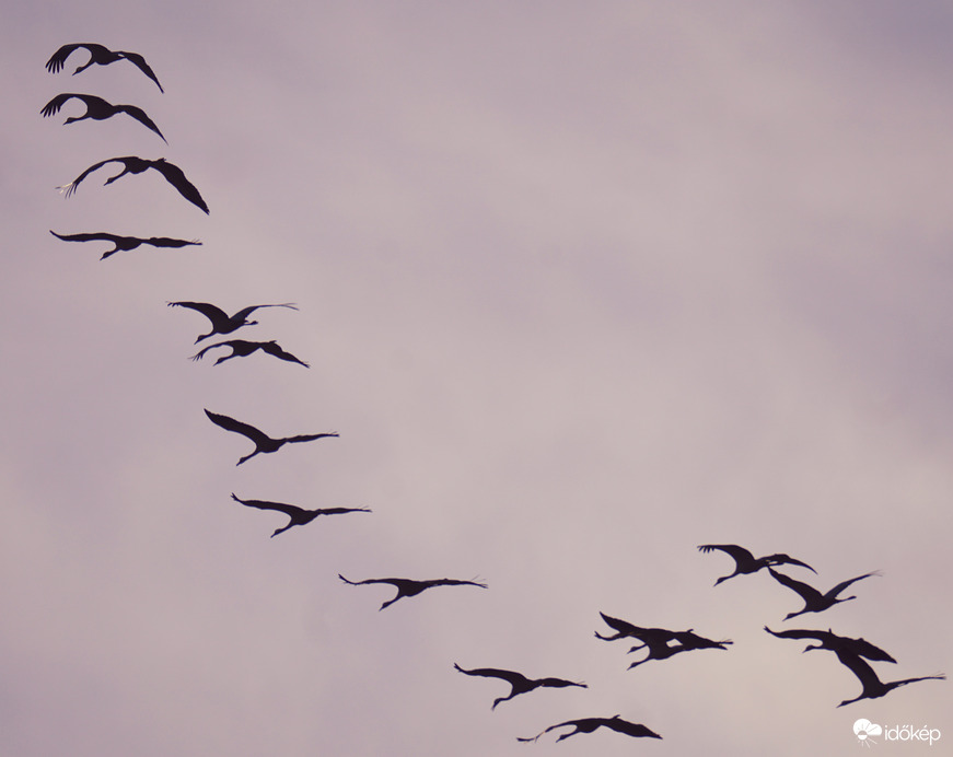 Darvak Bokros felett 3. 