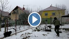 Egy bögre forró víz