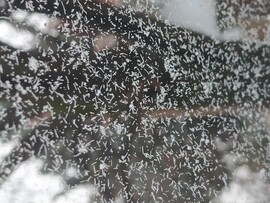 Budapest IV.ker - Újpest