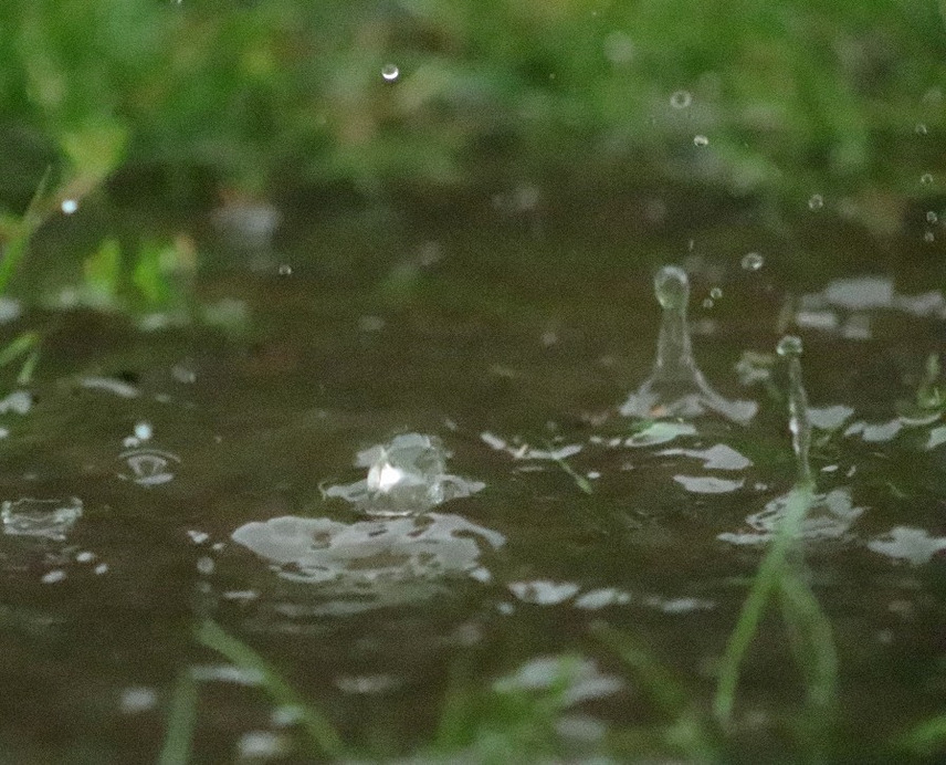 Baktalórántháza