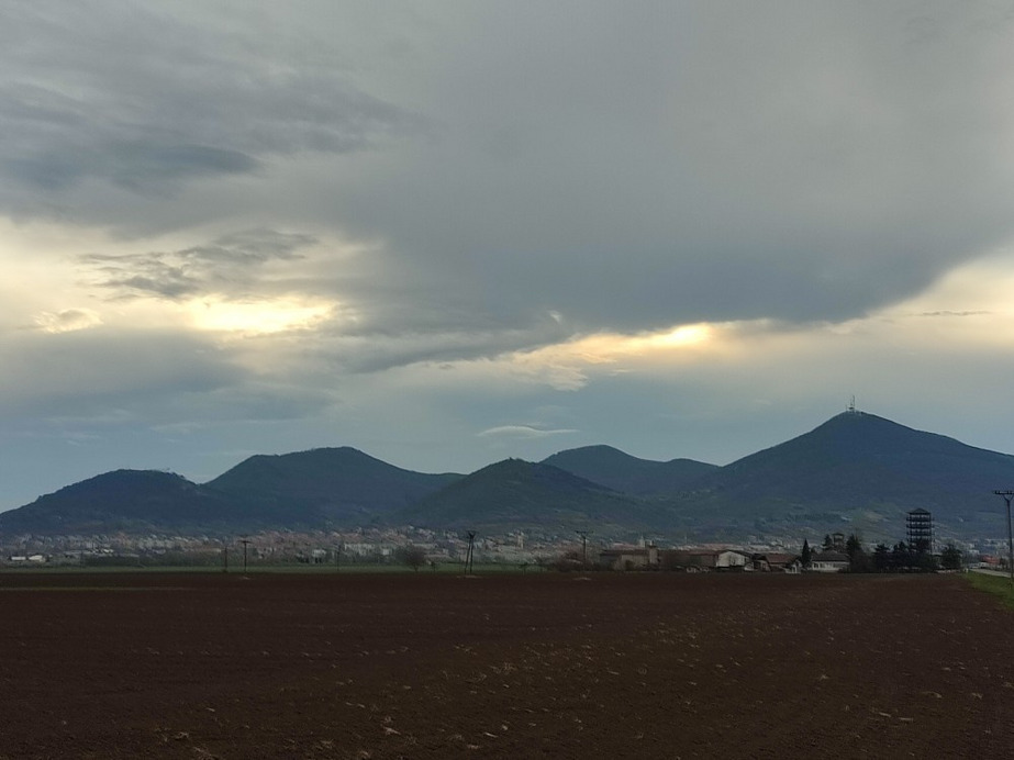 Borsi