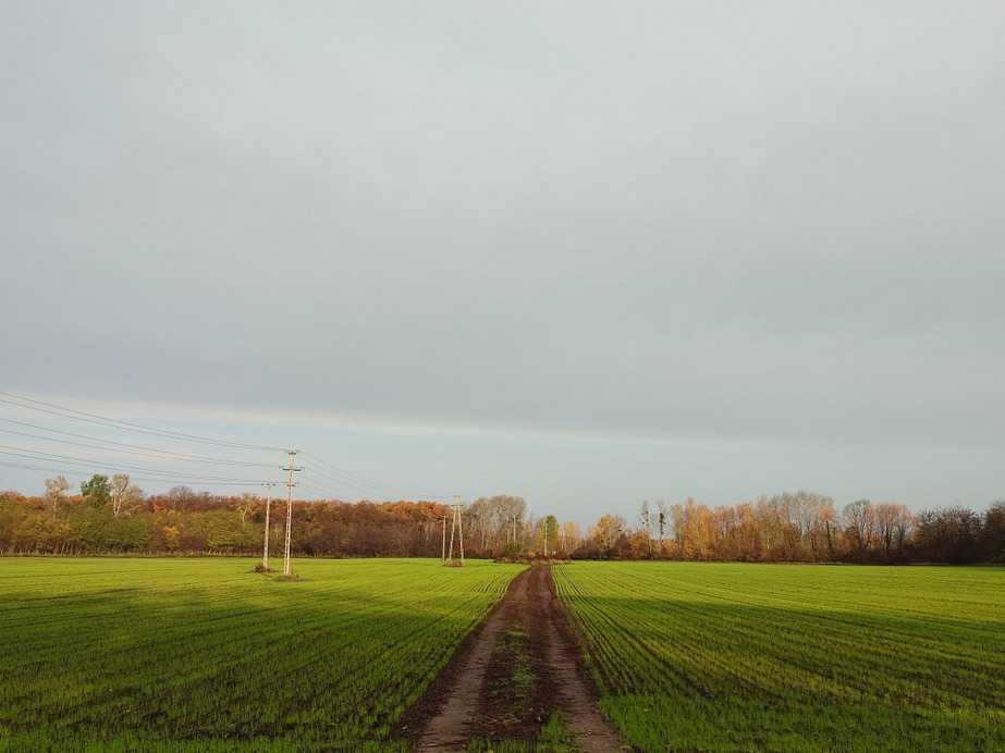Baktalórántháza
