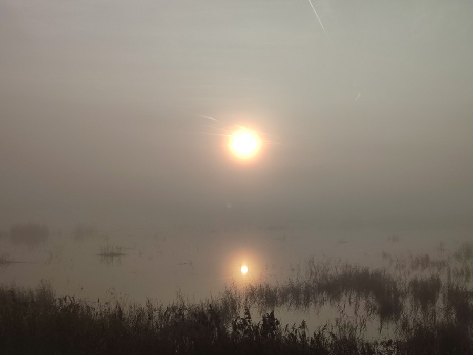 Nagykálló