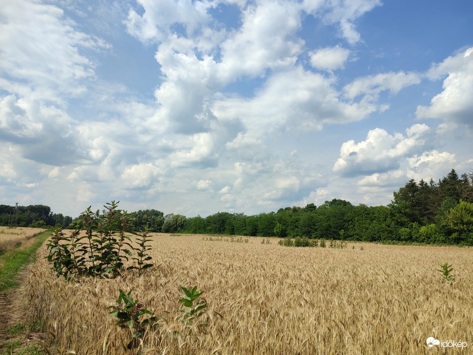 Baktalórántháza