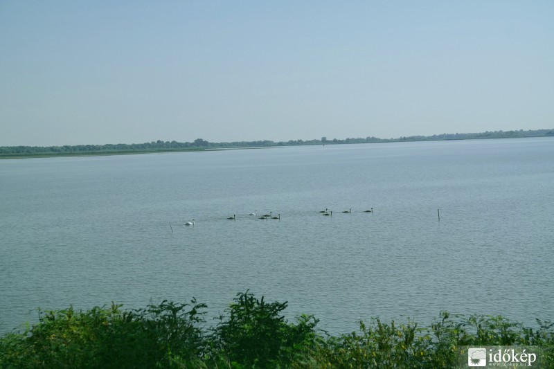 Tisza-tó