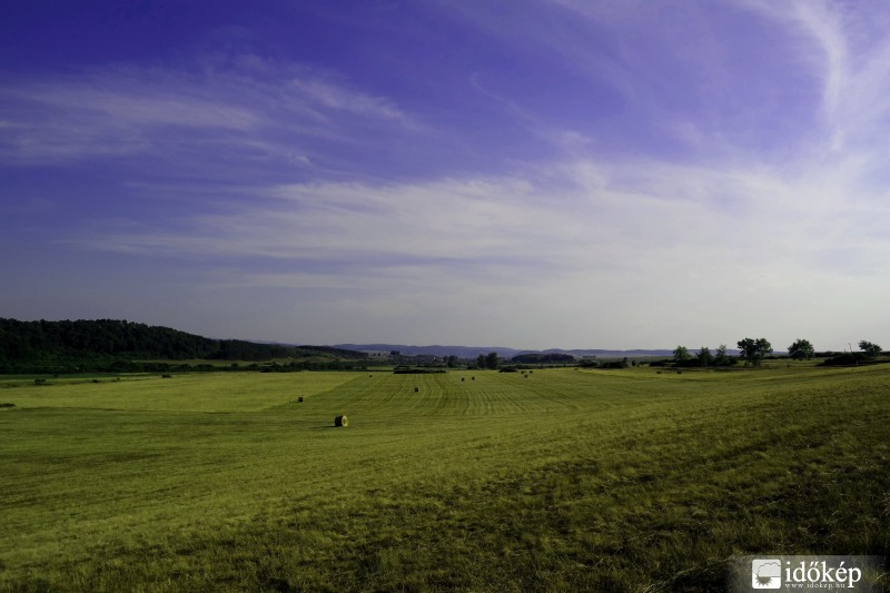 Mező
