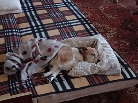 Neki is Karácsony van....Mindenkinek Boldog Karácsonyt. 