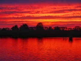 Tüzes hétzáró (Lipót)