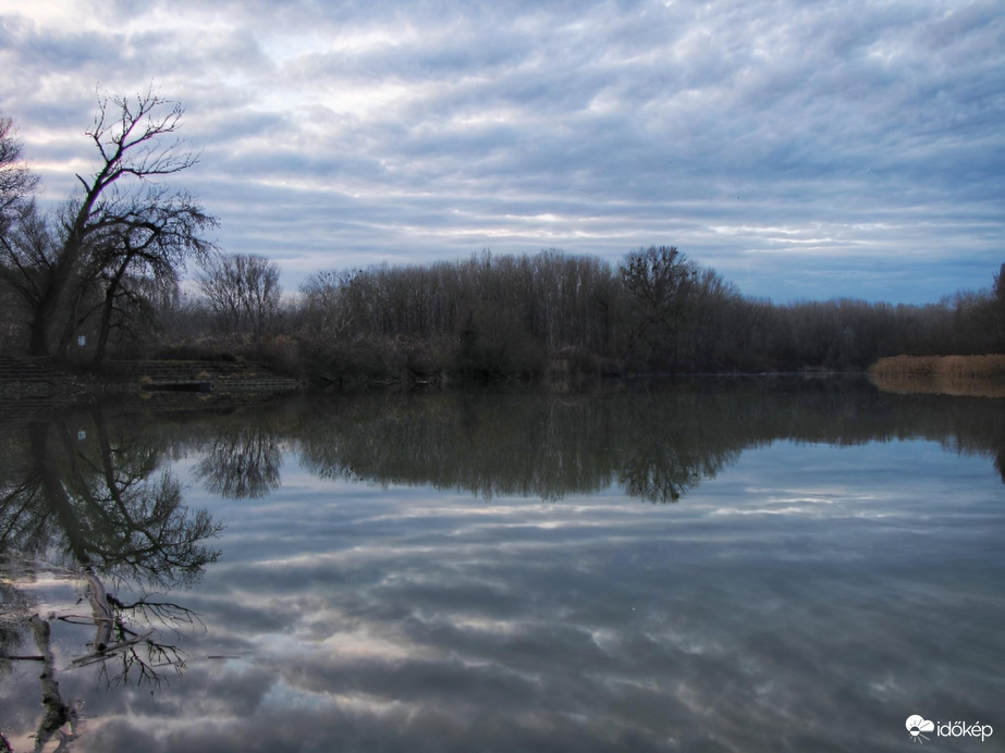 Szigetközi víztükör