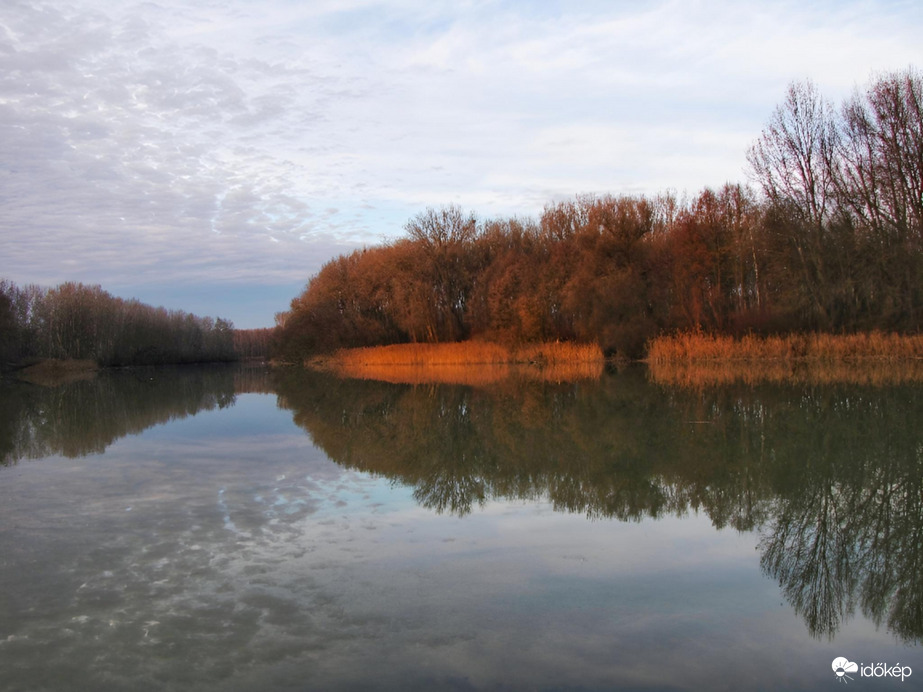 Szigetközi víztükör