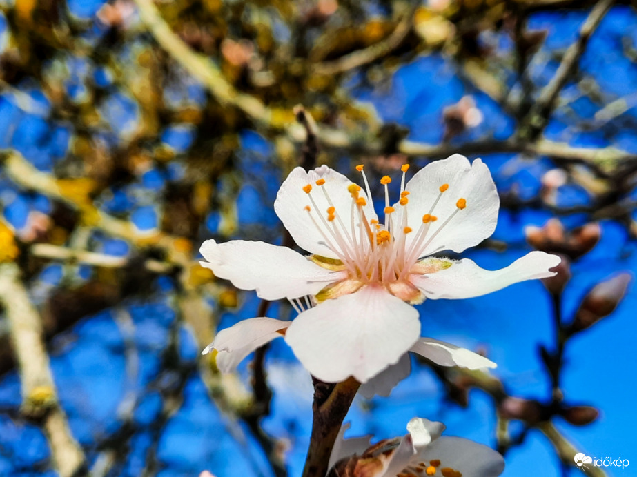 Hétvégi tavasz ÉNY-on!