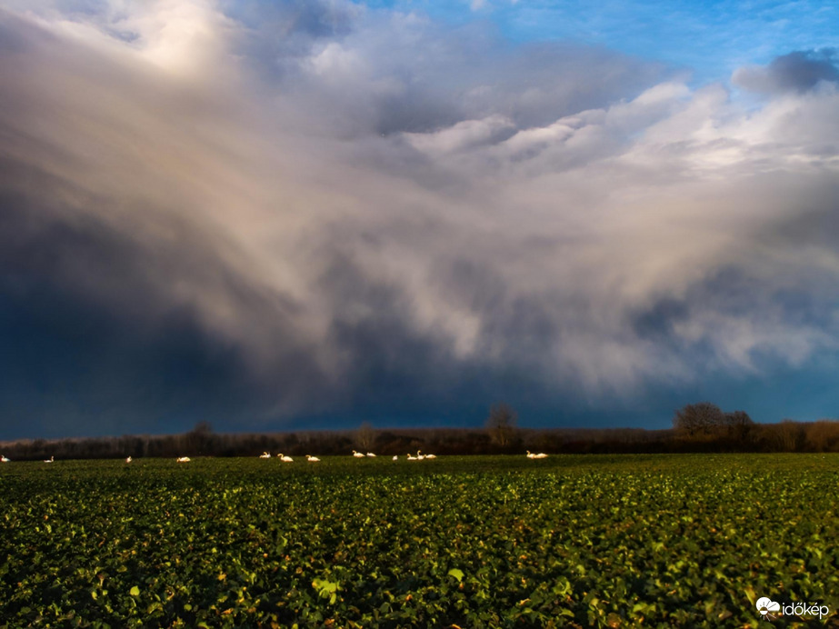 Virgás záporok zárták a hetet a Szigetközben!