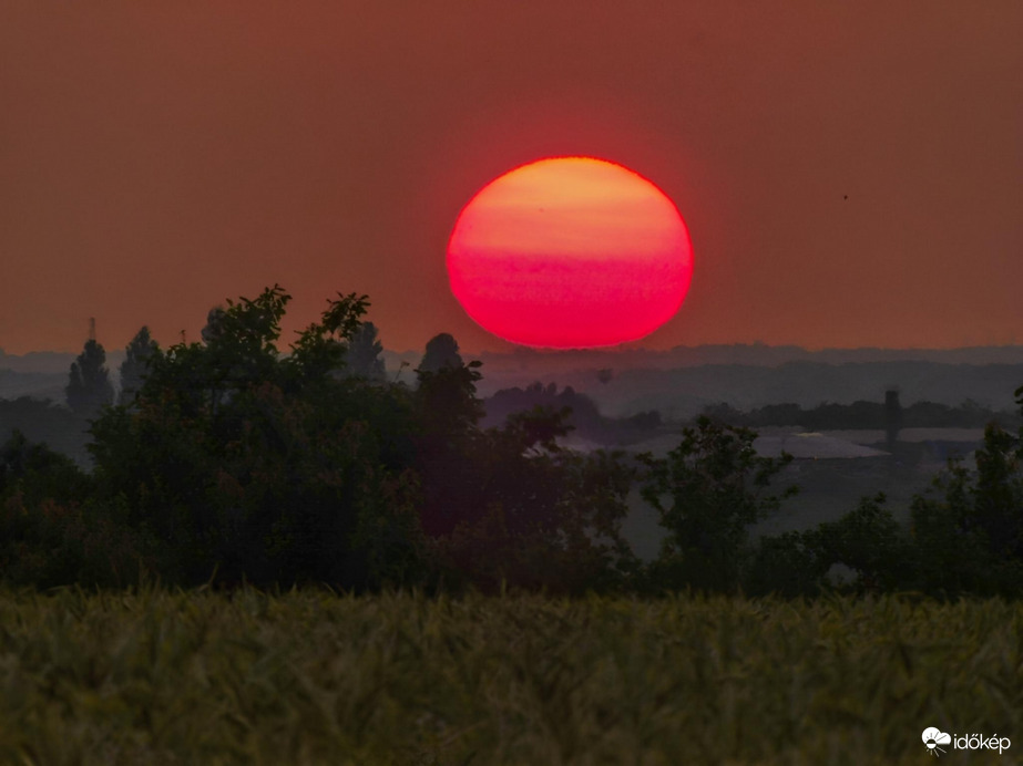 Napkorongos megnyugvás