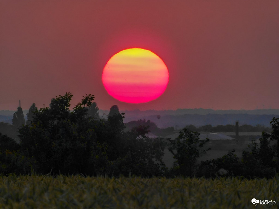 Napkorongos megnyugvás