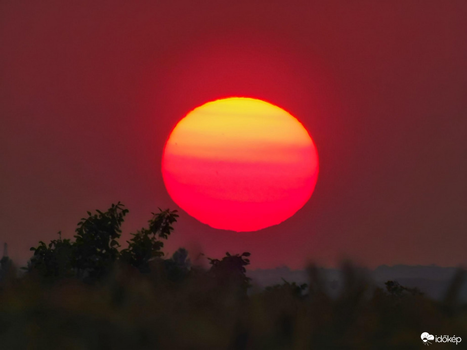 Napkorongos megnyugvás